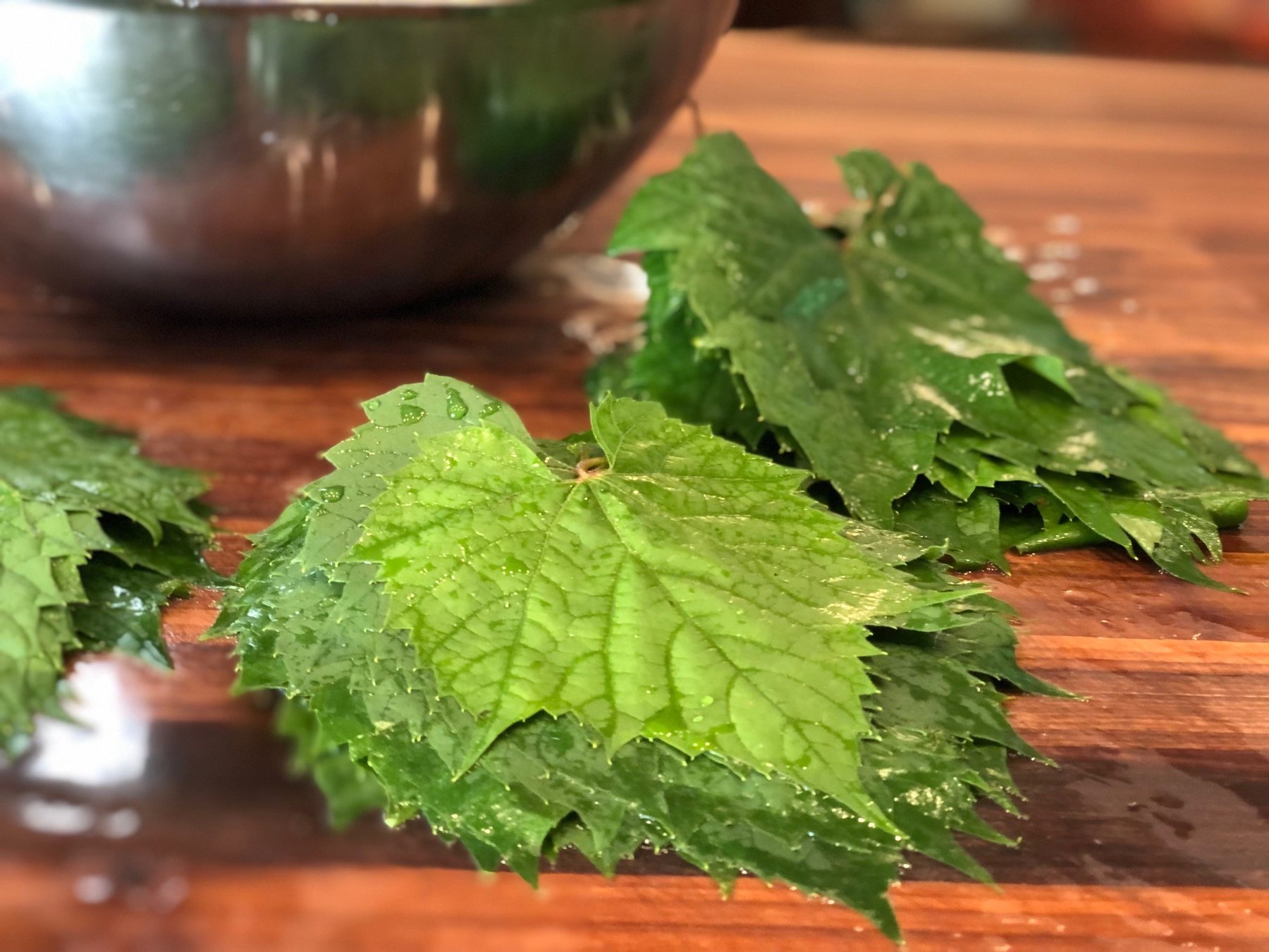 How to Preserve and Harvest your own Grape Leaves